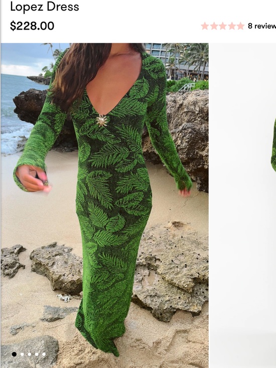 Show Me Your MuMu Dresses & Skirts - Show me your mumu Lopez dress NO BROCHE